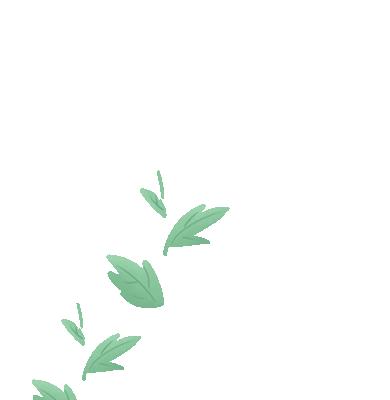 伯明翰大学学院,伯明翰大学世界排名