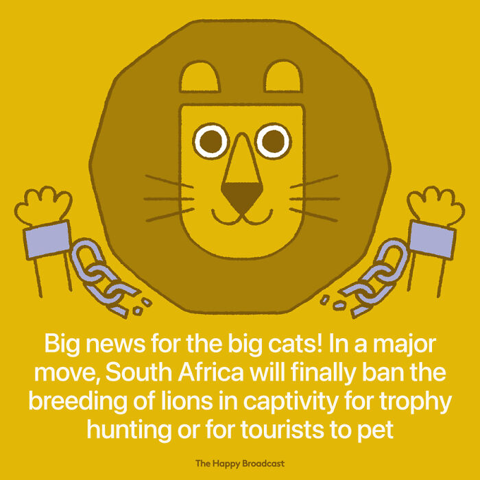 2021年世界各地的40个好消息，在沉重的一年，也能看到一些阳光