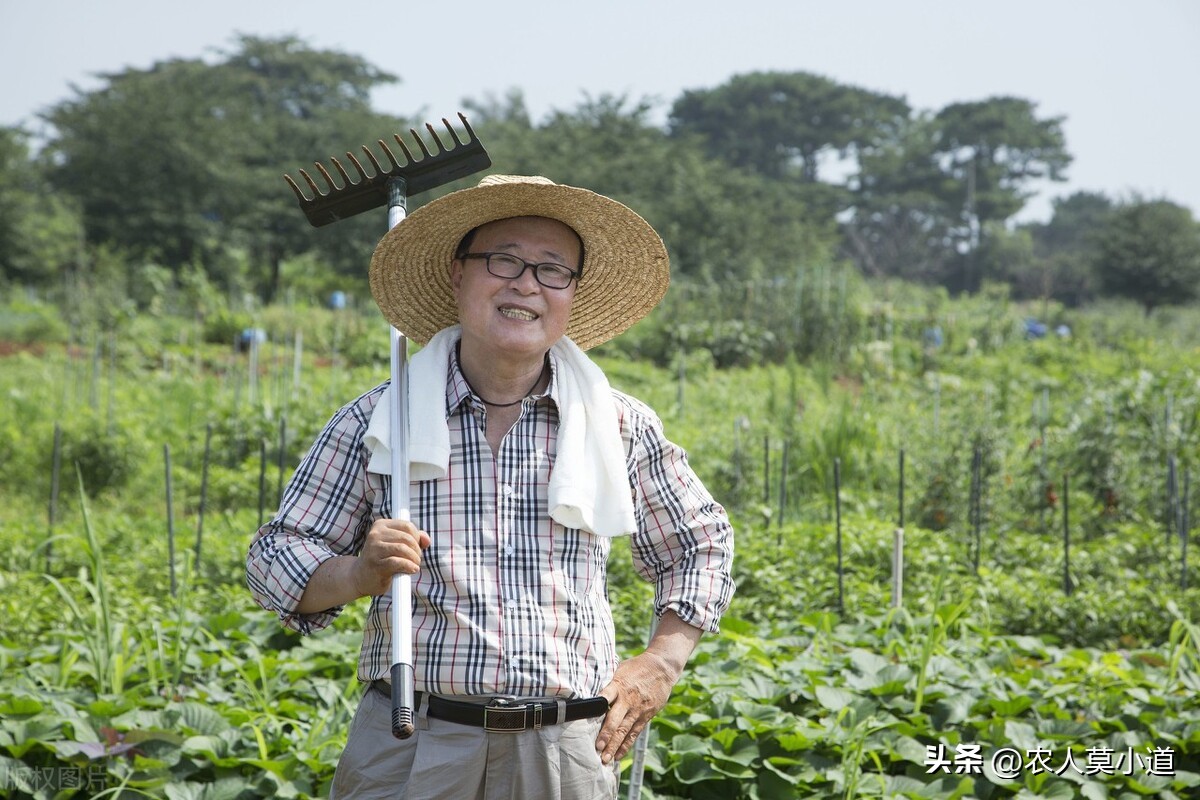 目前农民工没有工作国家有政策吗,农民工没有正规收入怎么办