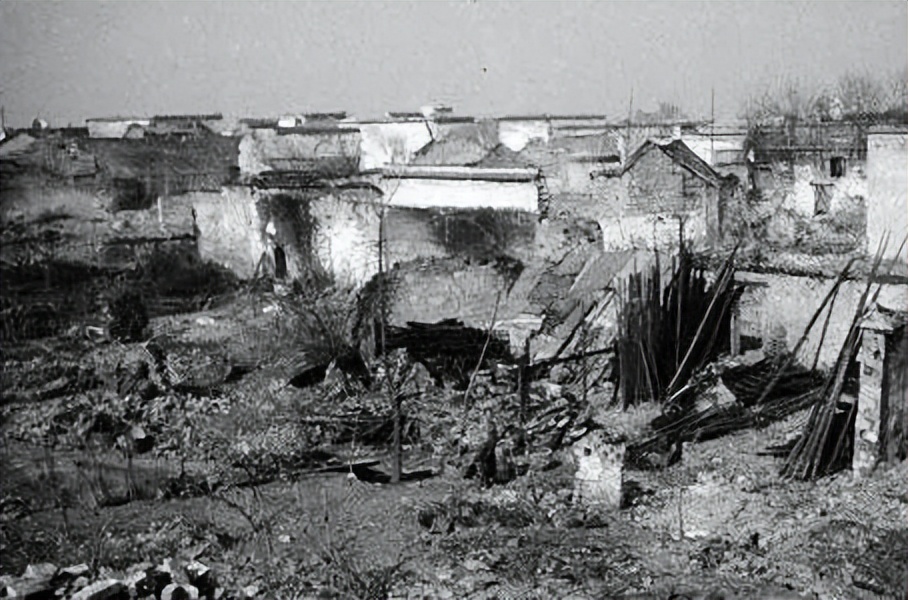 德国军事专家分析志愿军实力,德国专家对中国军人看法