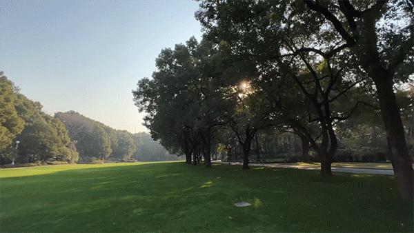 魔都，隐蔽60年的花园酒店，一窗一檐都是故事