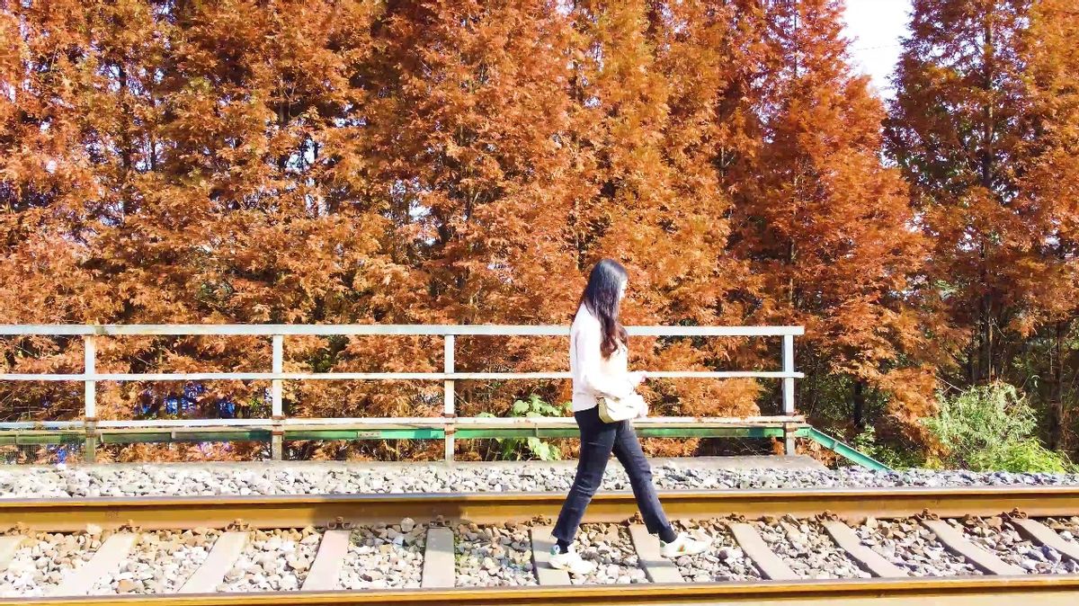 成都周边游最佳景点街子古镇,都江堰附近的旅游景点推荐