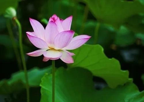 致2023年的自己的一段话励志,2023下半年写给自己的话