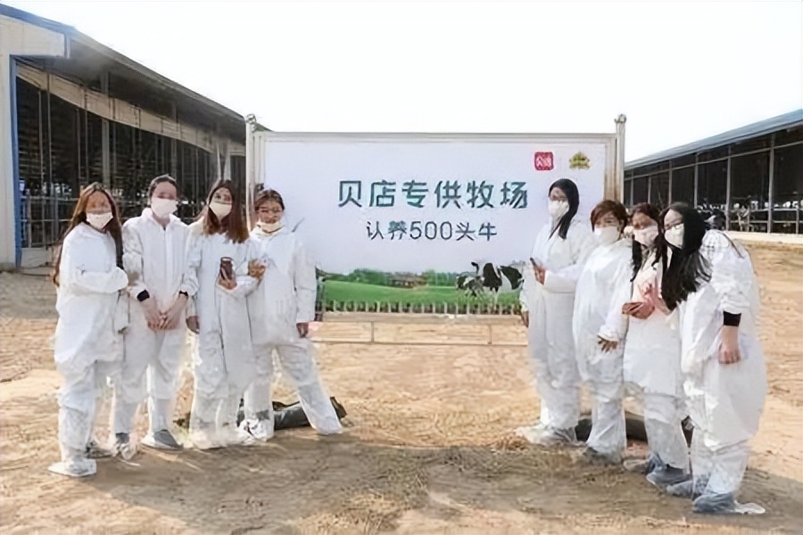 靠养牛致富的人有多少,靠养牛成为千万富翁