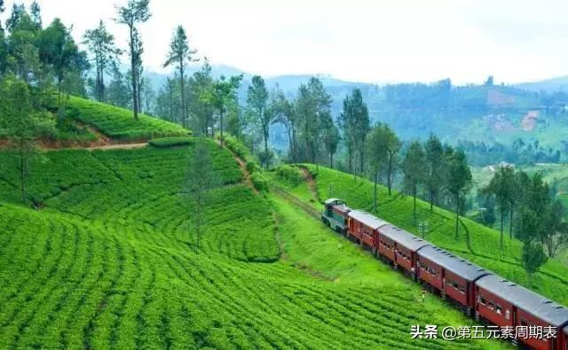 印度洋里的那些事,斯里兰卡印度洋上明珠之国