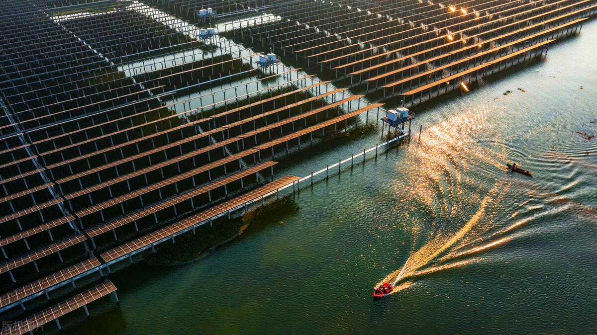 12月机构调研次数,11月机构调研