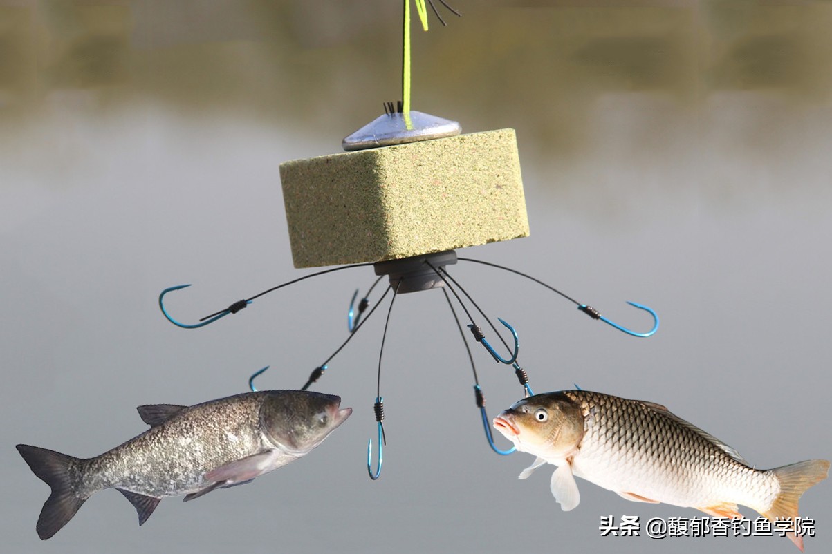 海竿方块饵怎么钓草鱼,野钓海竿钩饵技巧