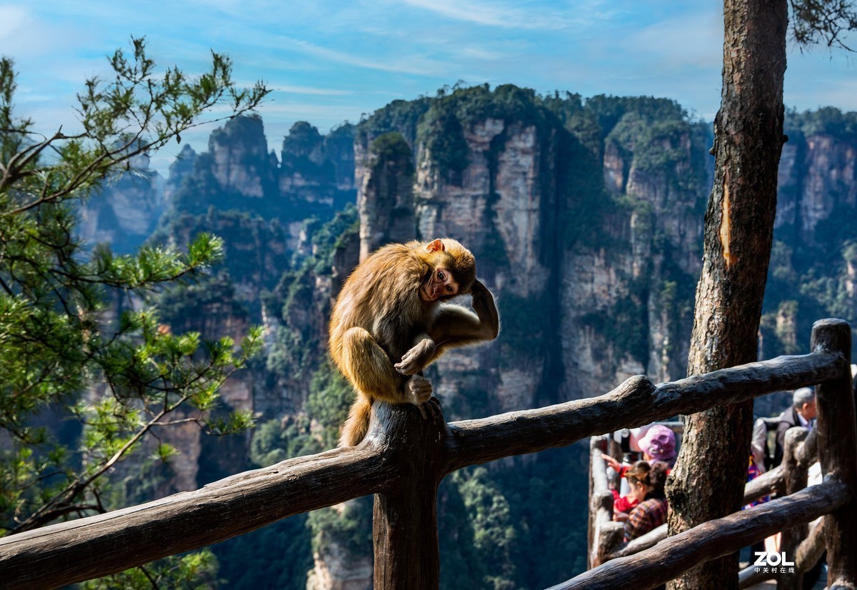 高安市到张家界旅游攻略,张家界最新攻略视频