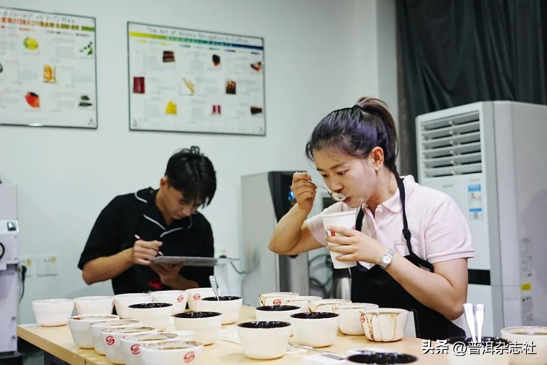 观云台丨云南咖啡是否“香精豆”？我们采访了8位资深从业者……