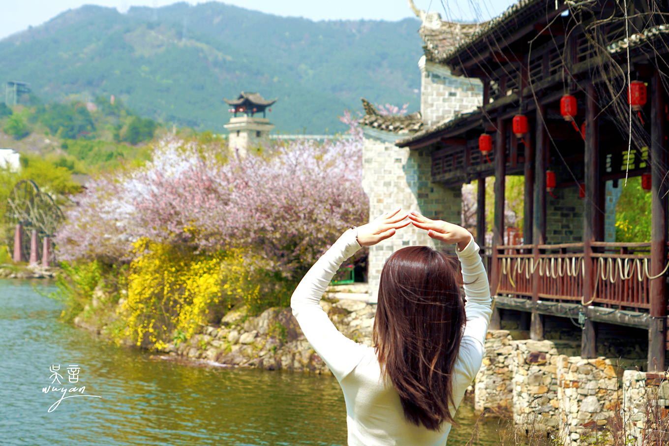 武汉看樱花半日游,武汉看樱花一日游