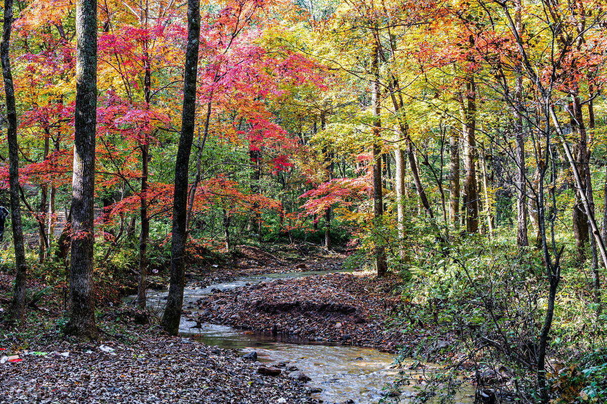 蛟河市地理位置,蛟河市面积多少平方公里