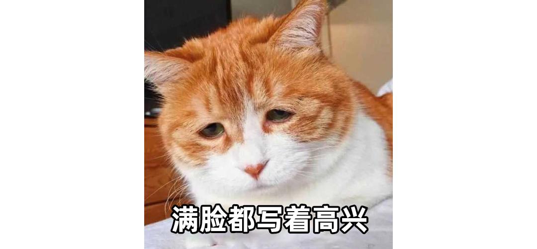 自制酸奶纯奶和酸奶的比例,无酸奶自制酸奶的家常做法