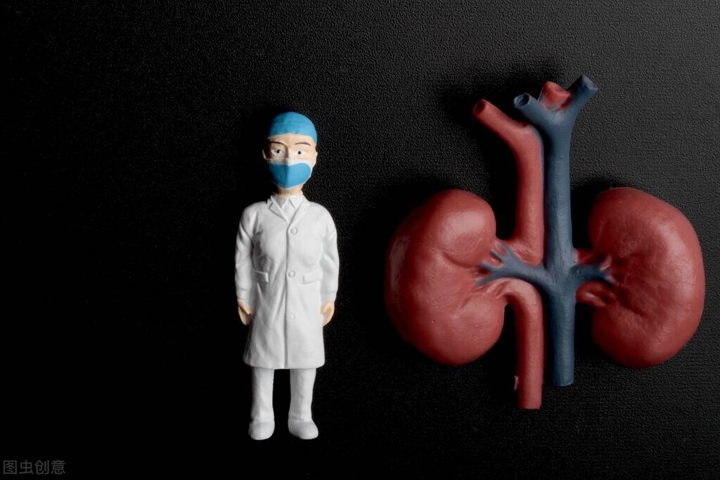 控制肌酐升高要忌哪些食物,肌酐升高一般是什么原因造成的