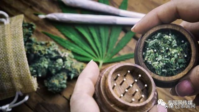 挥刀“自宫”?泰国男子吸食*麻大**过量后疯狂自残,合法化仍在失控