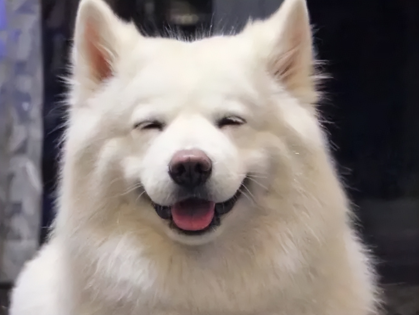 化脓性关节炎可怕吗,化脓性关节炎怎么做不复发