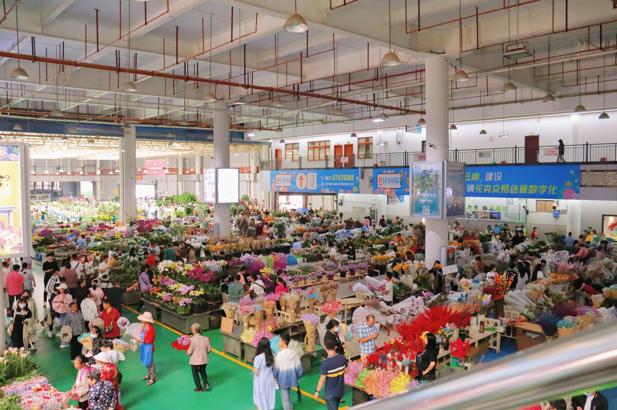 春节去云南哪里最好玩,云南春节人少旅游推荐