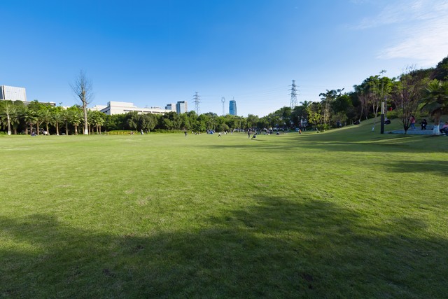 被爸妈逼着去相亲最后选择妥协了,父母逼着和相亲对象在一起怎么办