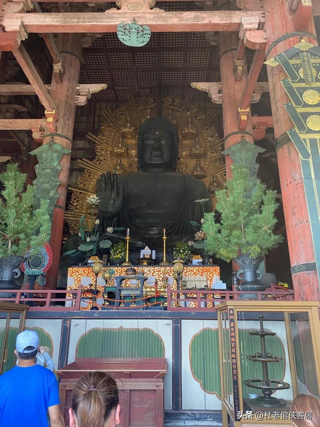 日本之旅奈良,日本奈良东大寺旅游