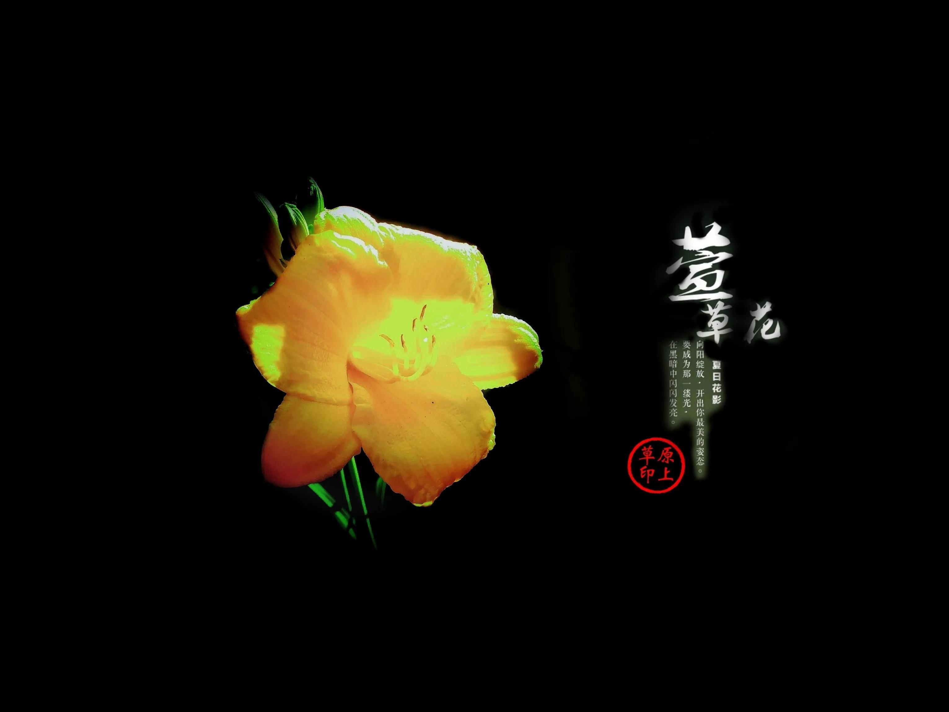 百花酿诗韵芬芳留人间（一）