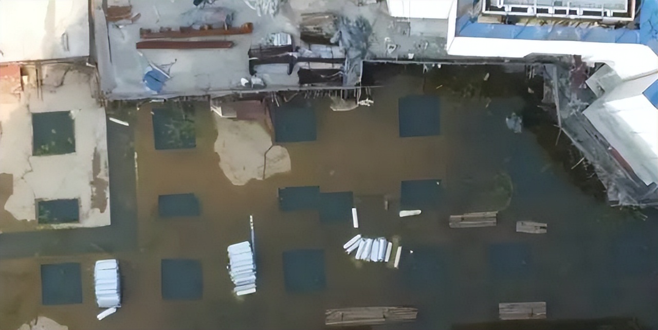 钟落潭最近活动,一夜爆火的钟落潭