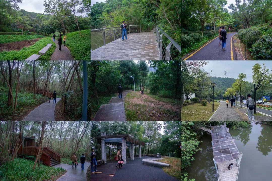 大运智慧公园中标方案,大运京基智慧园项目