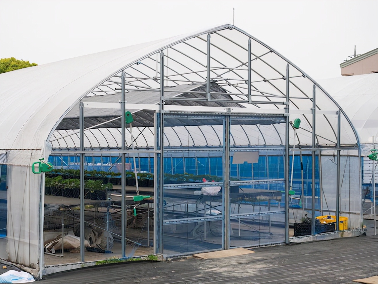 高端温室大棚造价是多少,生态温室每平多少钱