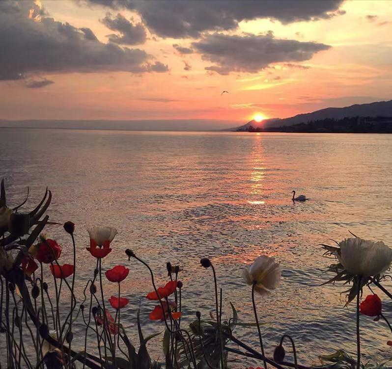 一个男人动了真情的表现是怎样的,婚外情男人对女人动了真情的表现