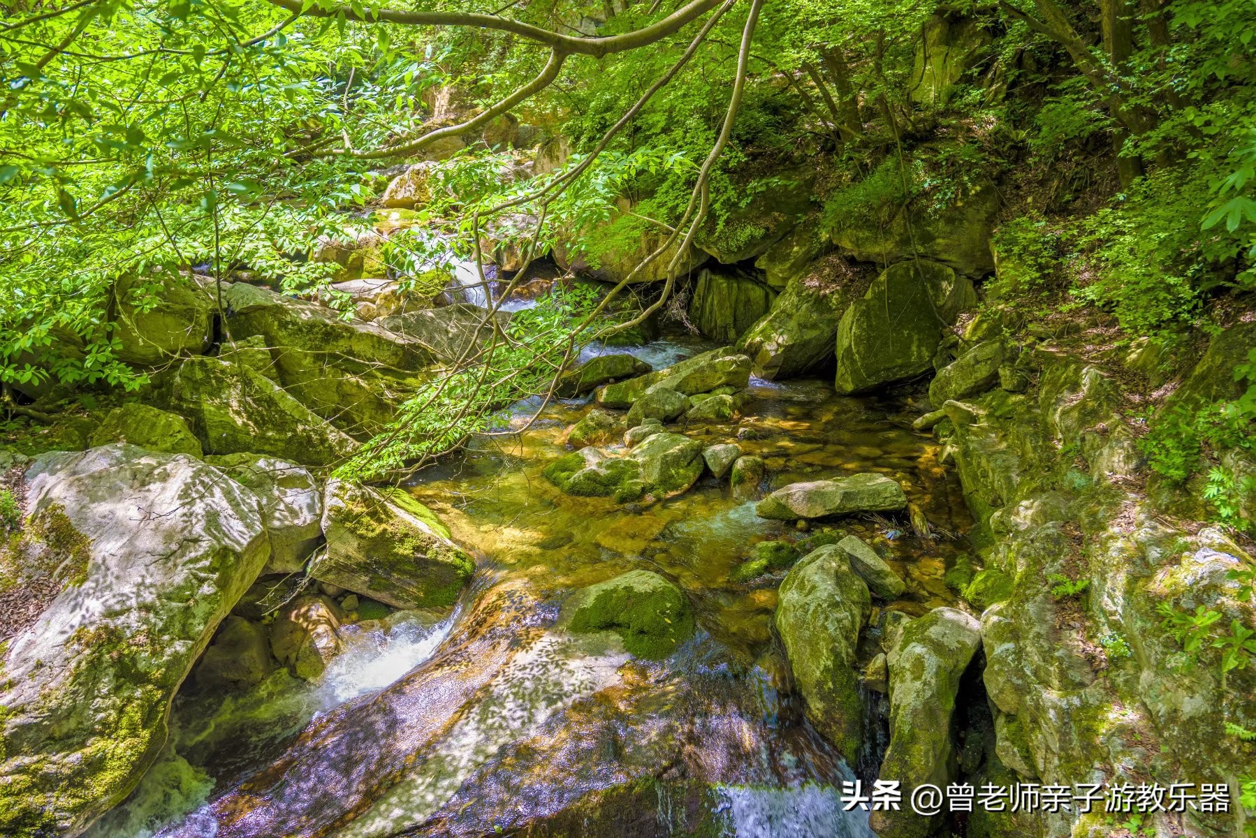 西安旅游五大必去景点秦岭,西安秦岭风景区旅游攻略