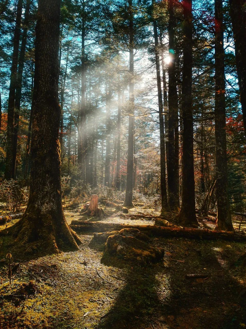 彩云之南雪山之巅,邂逅丽江慢时光