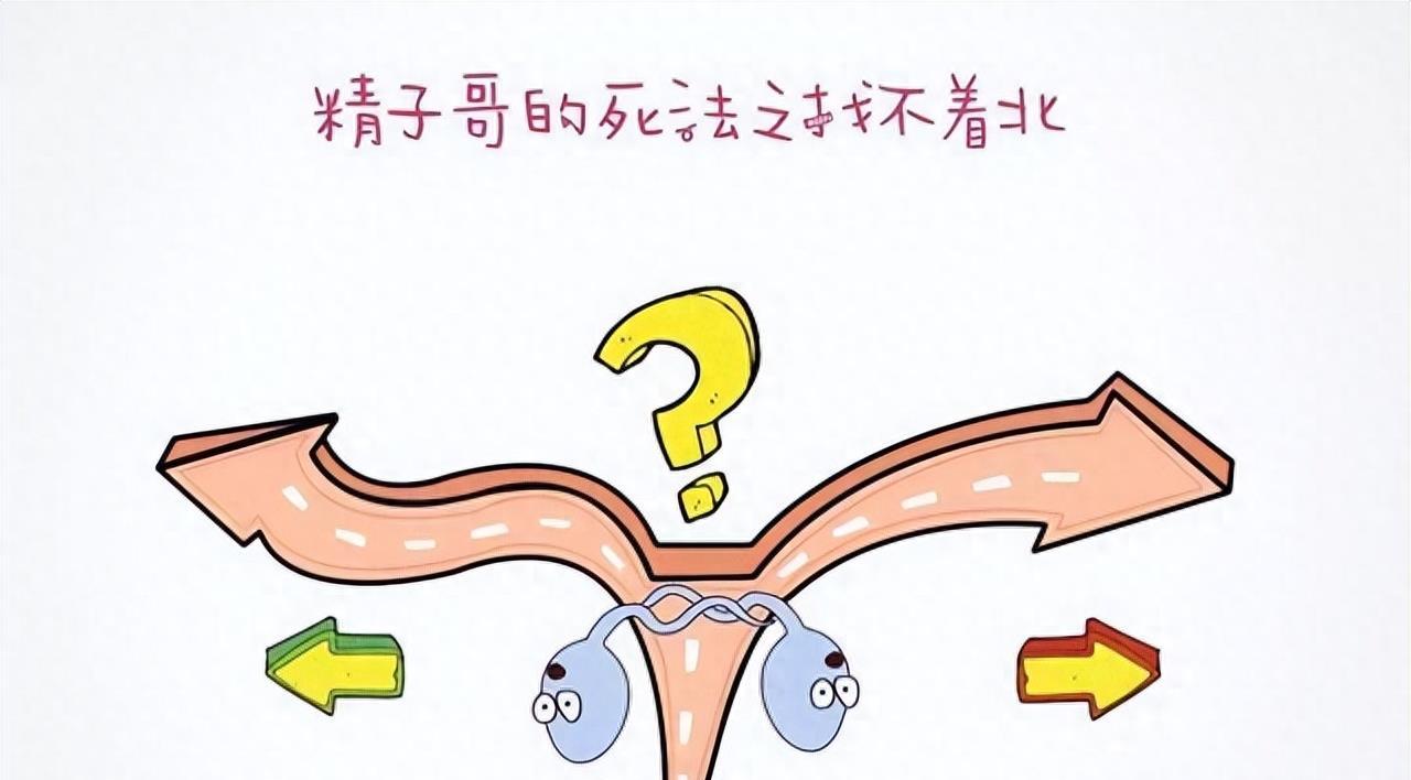 穿越时空的勇士,穿越时空的小战士