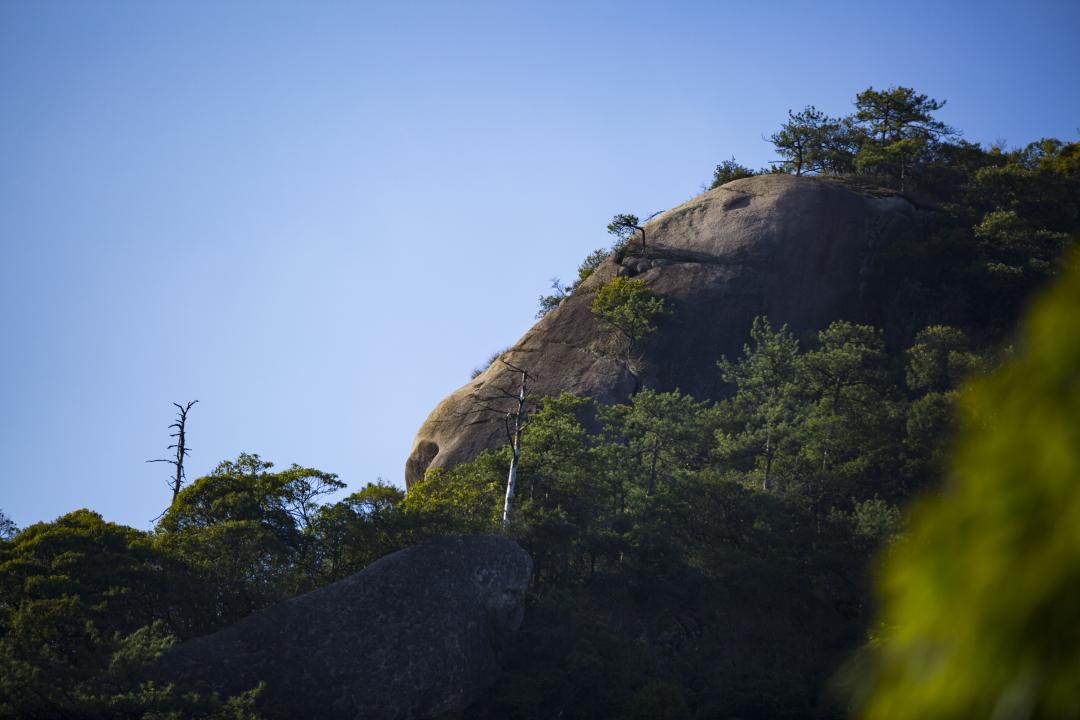 领略人文情怀感受自然美景,中医养生旅游体验