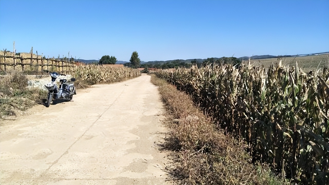 还原古洞历史,揭秘千年神秘古洞的故事