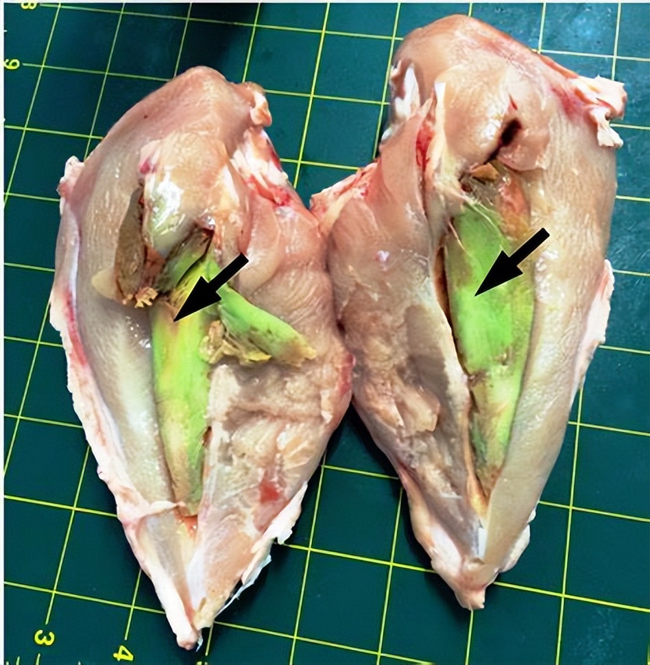 鸡有哪些疾病,鸡有炎症什么表现