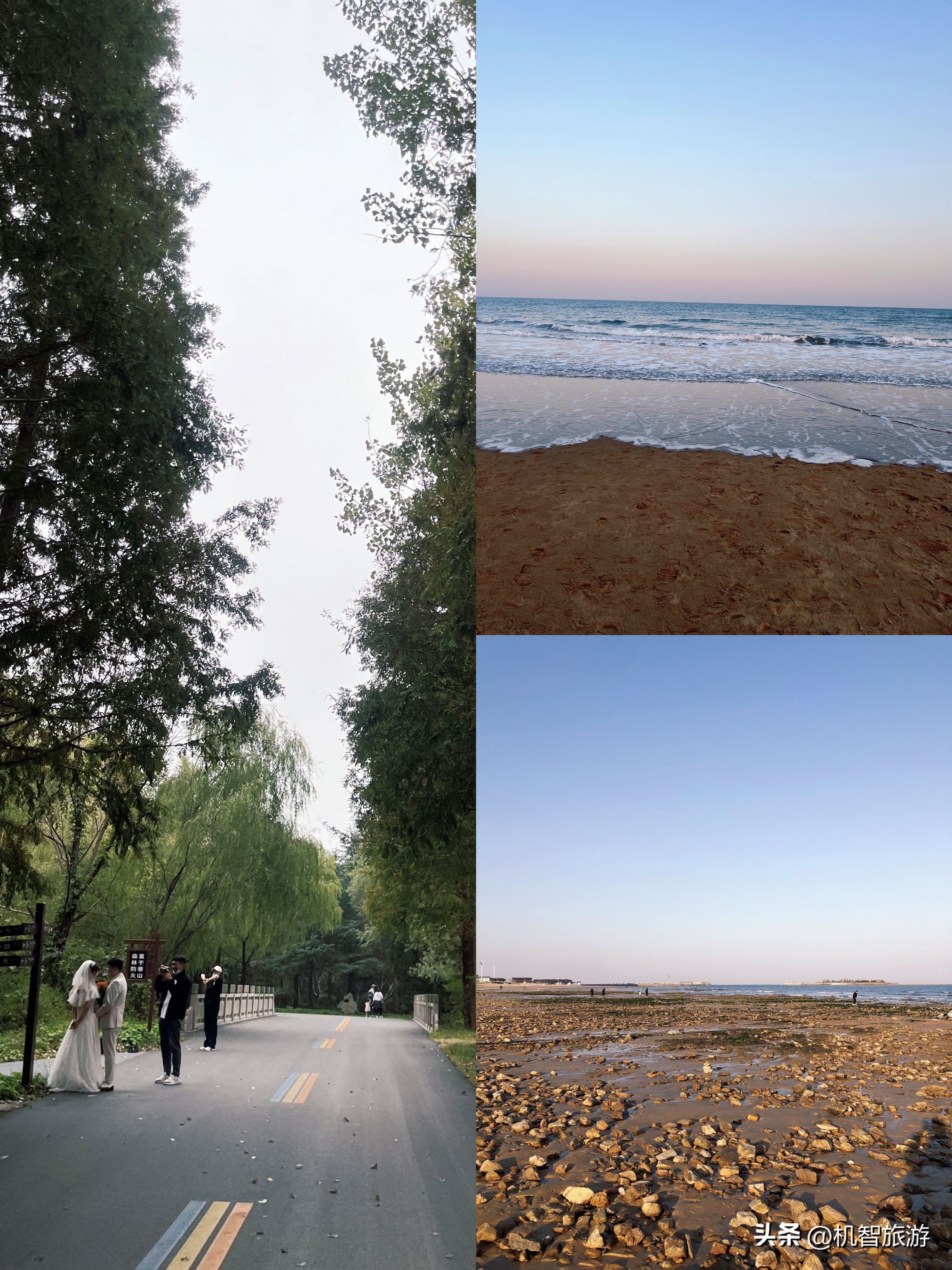 日照看海旅游攻略,日照旅行推荐