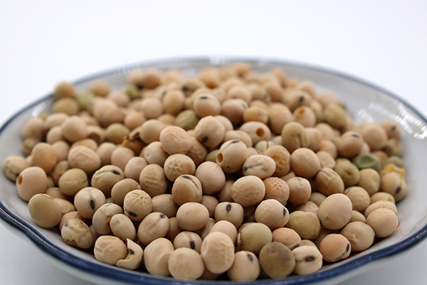 长期吃塑料袋的食物会怎么样,塑料袋装食物可致癌是真的吗