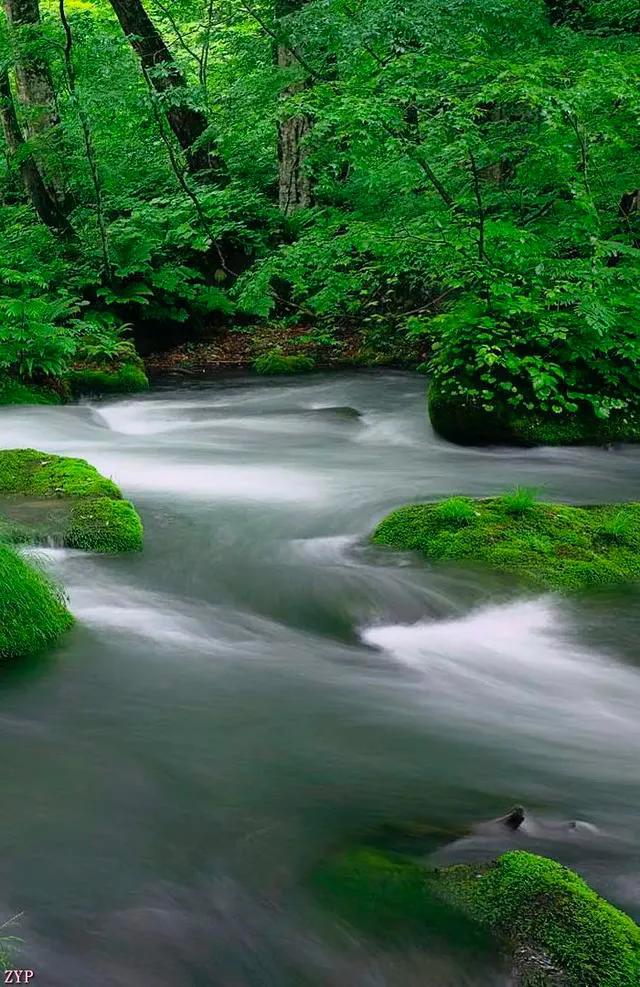 点点滴滴的唯美句子,点点滴滴历历在目