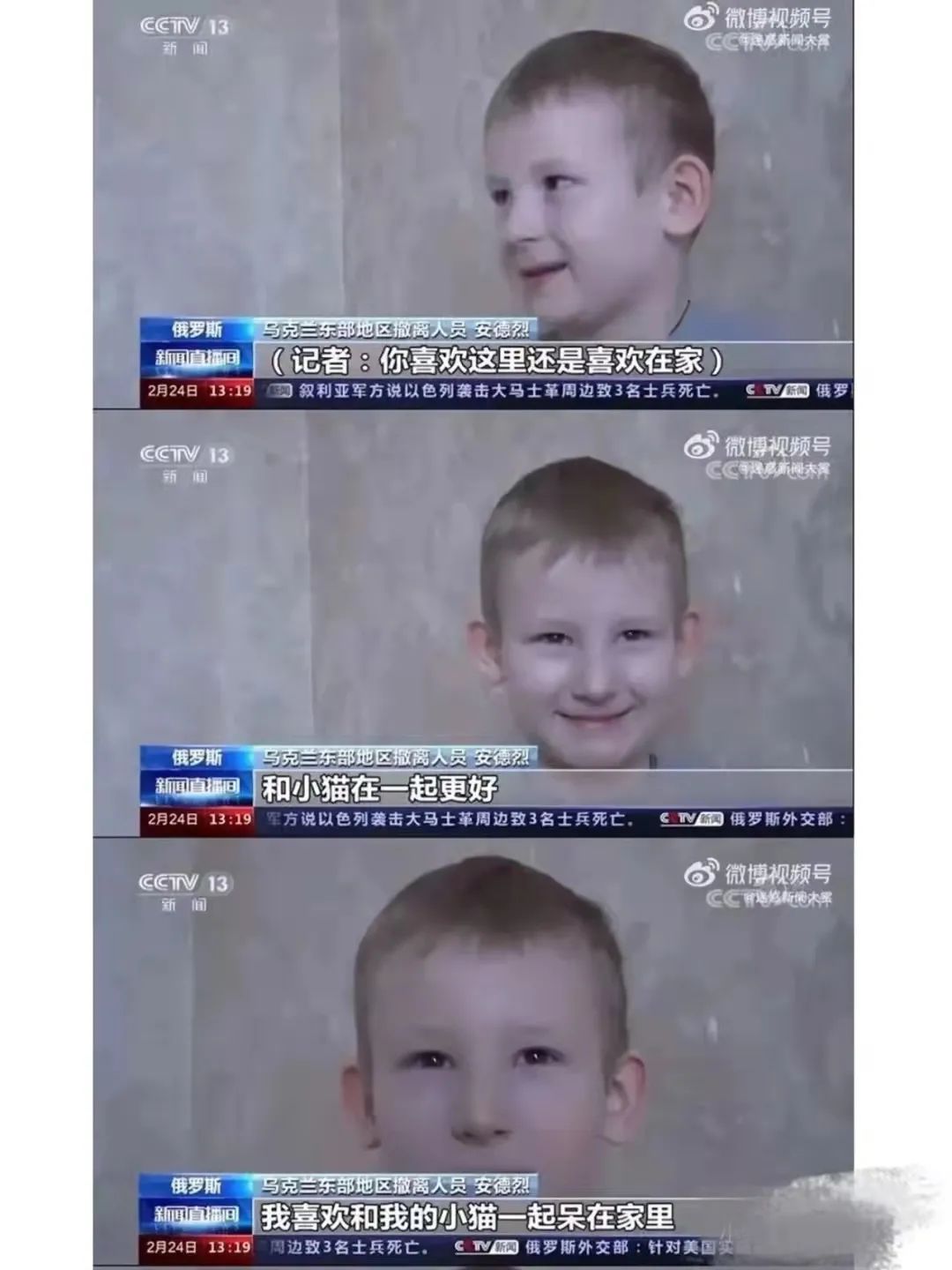 制裁猫咪小视频,制裁猫咪三个手段