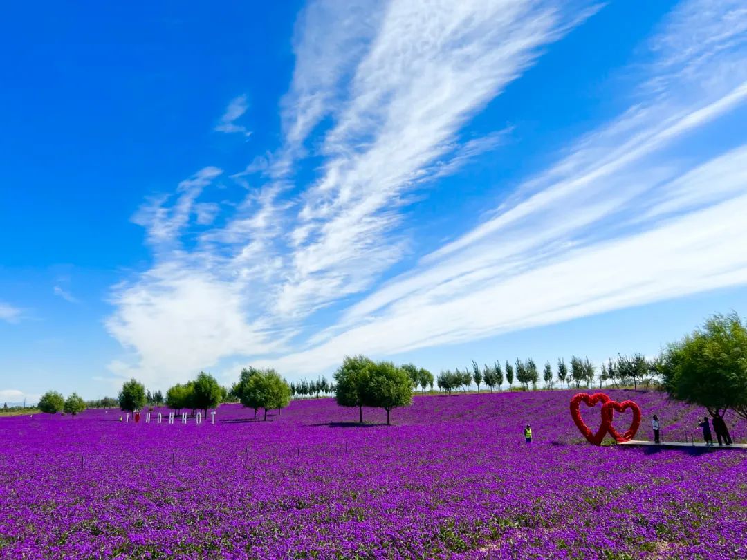 魅力赛罕秋意浓①｜金秋十月，来赛罕区见面的3种方式