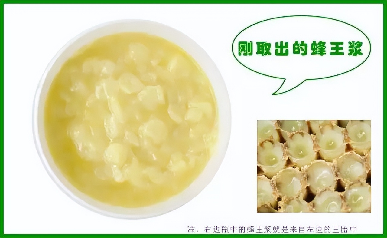 蜂王浆,蜂王浆价格一斤多少钱