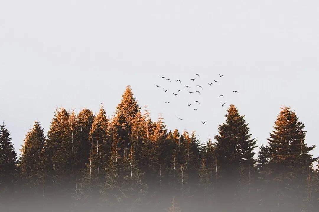 名人名言金句书哪个出版社出的好,名人名言警句俗语分类