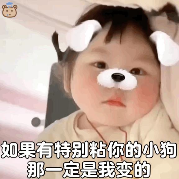 表情包杂七杂八实用,杂七杂八表情包