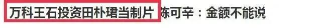 别再瞎操心了，王石与田朴珺这对“父女恋”早已活成了命运共同体