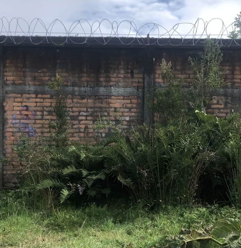 2014年,桃木枝戳穿*体下**?河北女子死状诡异,求爱日记本藏杀机