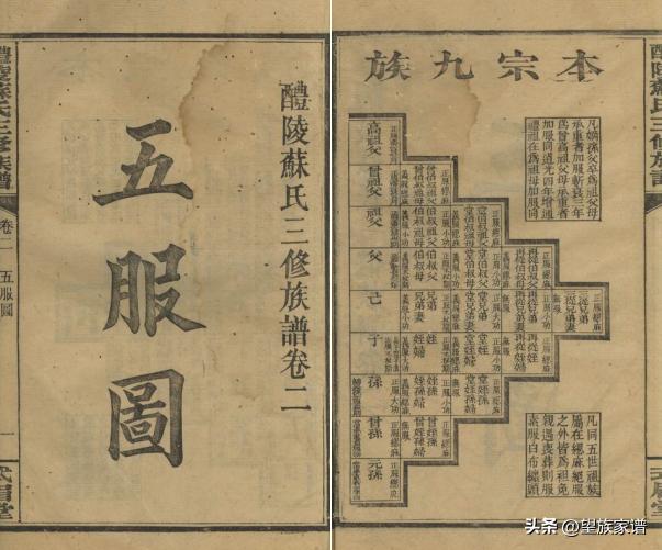 近代家谱发展史,古代家谱溯源