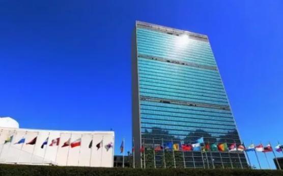 小国的悲哀,小国的悲哀纪录片