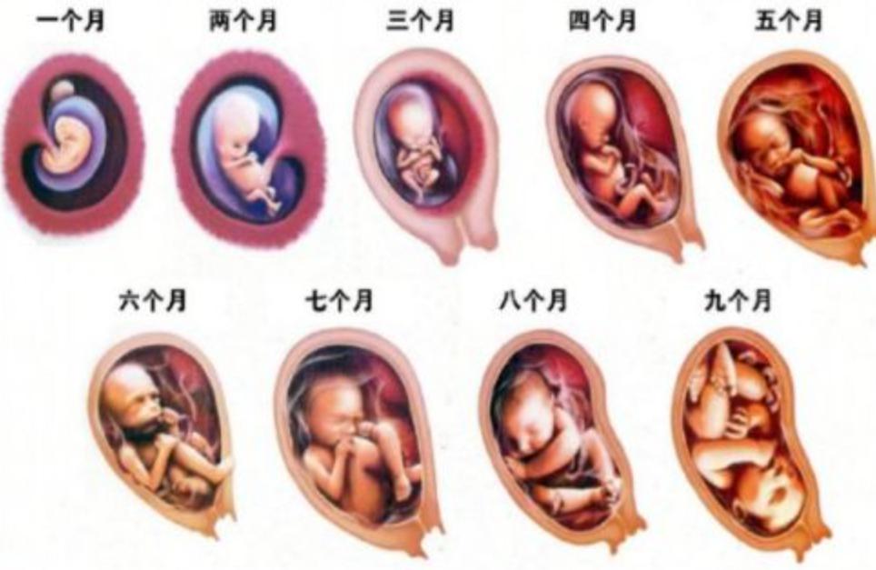 一个人来到世上的几率有多大,一个人来到世上真实的概率