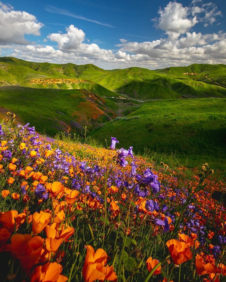 什么外卖骑手收入最高,哪种骑手能月入过万