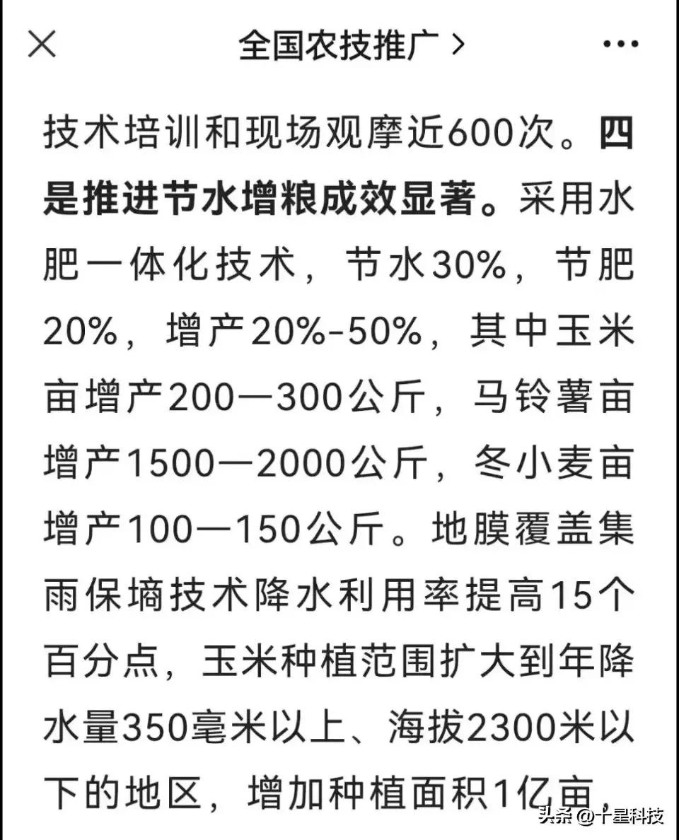 2023年国审小麦品种有哪些,2024年国审小麦品种