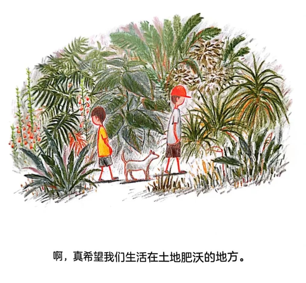 值得孩子看的4本经典绘本,绘本推荐3-6岁散步