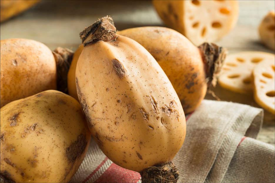 又到了小暑的季节吃什么,夏季小暑应该多吃什么